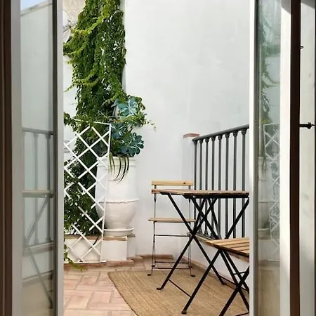 Apartamento Preciosa Casa Con Terraza